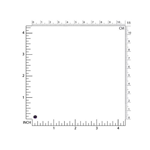 Silvershake 4Mm Petite Round Shape Cabochon Amethyst White Gold Plated 925 Sterling Silver Stud Earrings #TOP1