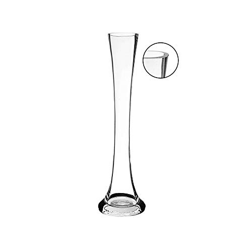 WGVI VBD0112_AV_1 Glass Vase, 12" H, Clear by WGVI - Used condition - CA$22.16