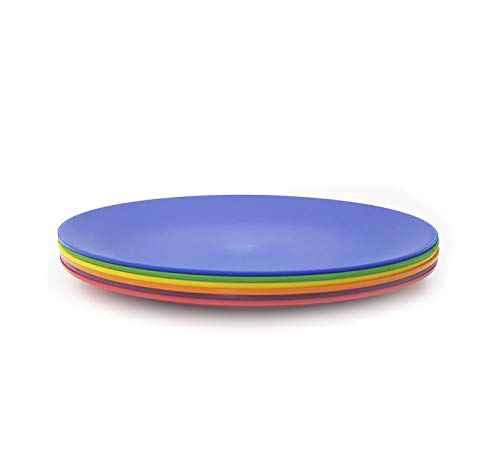 KX-WARE Plastic Plates Set of 6 - Unbreakable and Reusable 9.875 inches Dinner Plates, Multicolor | Dishwasher Safe, BPA Free