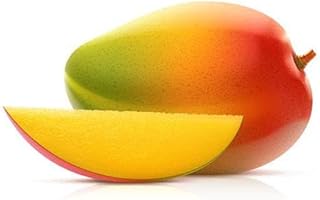 Mango Fruit Seedlings (Jasmina)