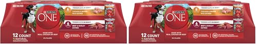 Image of Purina ONE Tender Cuts in Gravy Chicken and Brown Rice and Beef and Barley Entrees High Protein Wet Dog Food Variety Pack - (Pack of 2) 13 oz. Cans
