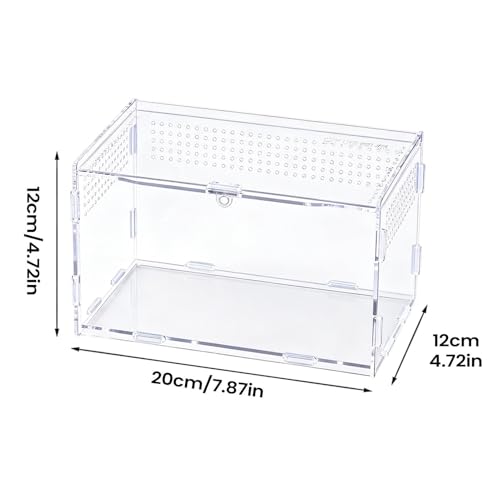 Maison pour araignées sauteuses transparente pour sécuriser l'élevage - 6
