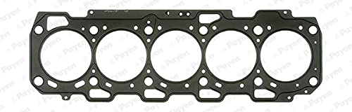 Payen AG7430 Guarnizione Testata