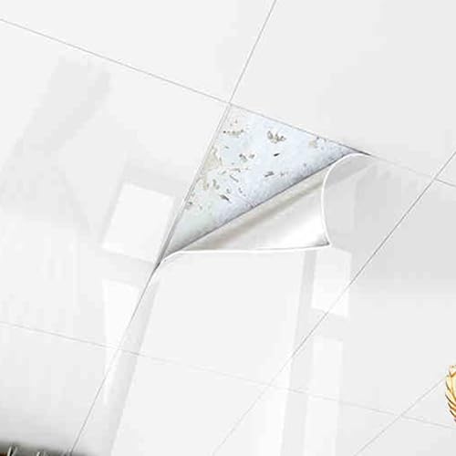 Deckenpaneele deckenplatten Abgehängte Deckenplatten – 5, 10, 15, 20 Stück, Wasserdicht Und DIY-Panel Für Die Innenwanddekoration – Selbstklebende Deckenabdeckungen Für Risse Und Flecken(C,20 pcs)