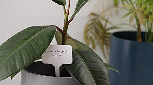 DIVCHI 25 Pcs Plant Labels Garden Markers, T-Type Tags Waterproof Re-Usable Nursery Label for Pot Flower Vagetables, White