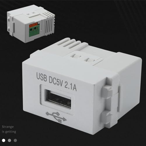 Iegefirm Handy-Ladepanel 220V-Buchse 5V-Transformator 2,1A USB-Ladesteckdose Schaltadapter 1 Stück