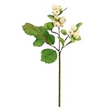 Floratexx