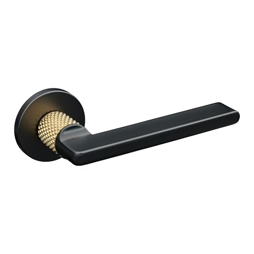 Gavroche Tirador de puerta para puerta, color negro y dorado antiguo BB PZ WC, juego de rosetas (estándar)