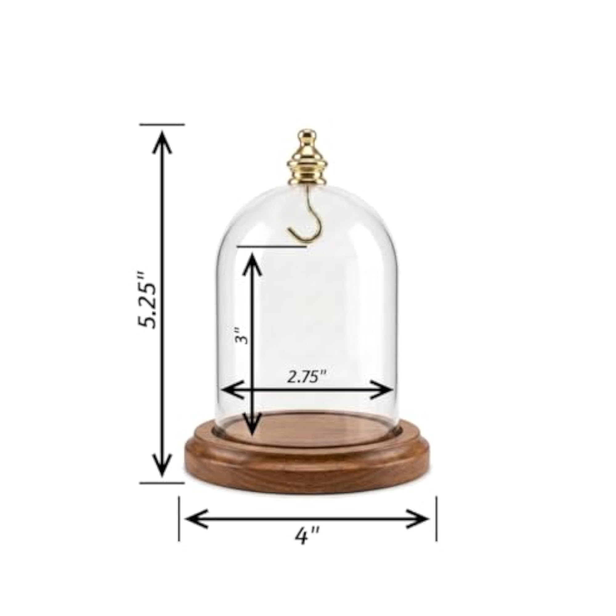Pocket Glass Display Dome with Walnut Base