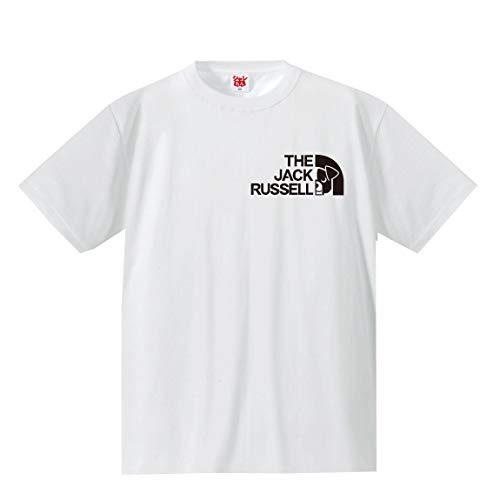 [V]  TVc Aj} y WbNbZeA tFCX zy T zy S z /P6/