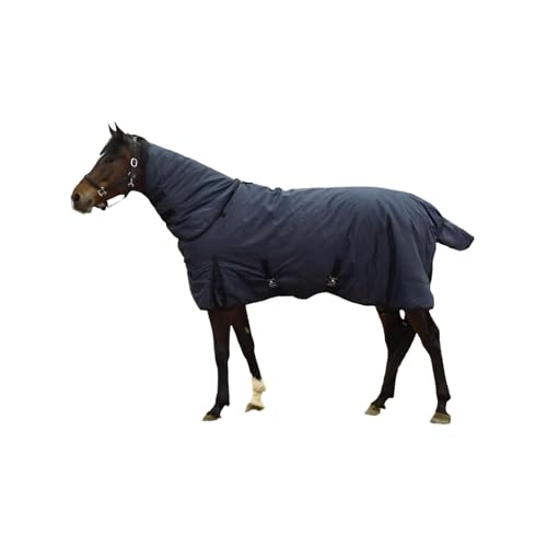 Tapis de cheval chaud 900D imperméable pour équitation d'hiver et paddock - 6