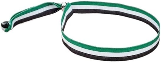 Pulsera Extremadura Bandera