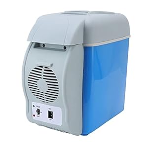 8L Draagbare Auto Koelkast Elektrische Koeler Geluidsarme Koelkast 12V DC Voeding Koud Warm Dubbel Gebruik voor Mini Car Office Truck Camping Cosmetische Drank Koeling(Voor auto’s)