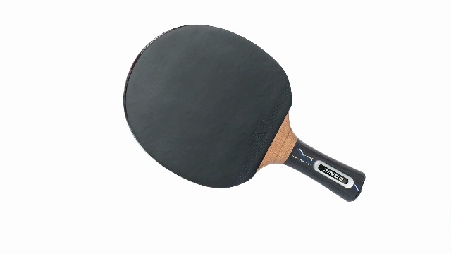Donic-Schildkr??t Waldner 3000 Table Tennis Bat - Carbon Wood With ABP Handle, ITTF Approved