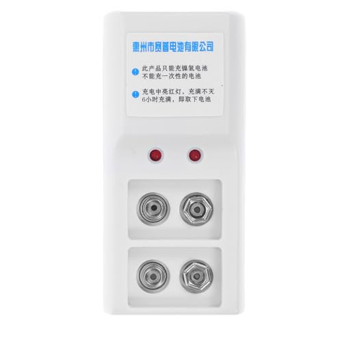 TOYZFRIENDY Caricabatterie Pile Ricaricabili Doppio Slot con Indicatore LED Ricarica Veloce e Compatto per Batterie Volt Portatili