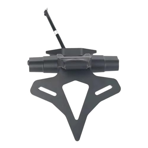 Support de plaque d'immatriculation arrière moto queue courte LED pour Street Triple 765