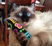 Kitty kick stix 11" catnip kicker toys - set of 2 cat kickers, the original made in usa 4 Kitty kick stix 11" catnip kicker toys - set of 2 cat kickers, the original made in usa - image 5