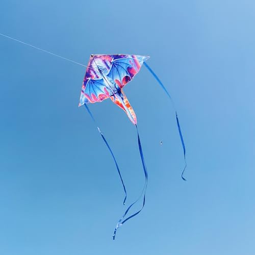 Besra Colorful Dragon Kite Single Line Easy to Fly Beach Kite for Kids & Adults (Blue)