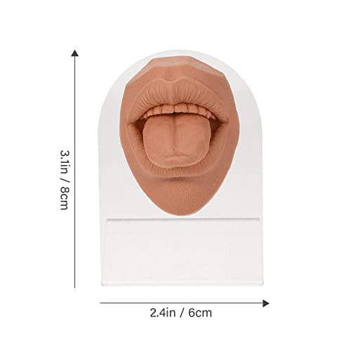 Modèle de bouche simulée pour la pratique du piercing en silicone