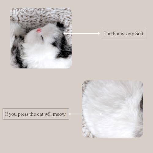 Image of Sleeping Cat Soft Toy, Orange with White, Medium