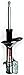 FCS 331755L Suspension Strut
