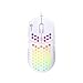 DREVO Mouse da Gioco Falcon Full RGB cablato Leggero da 70 g Sensore Ottico 16000 DPI PixArt 3389, frequenza di Rapporto 1000 Hz, 400 IPS, Cavo Ultra Morbido e Guscio a Nido d'Ape - Bianco