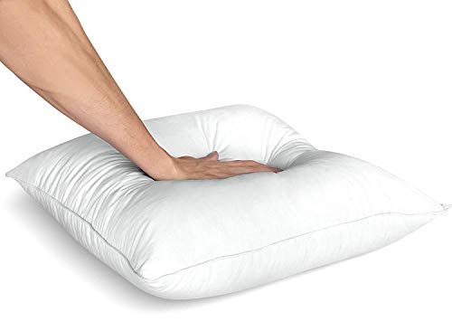 Utopia Bedding Throw Pillows Insert (Pack Of 24, White) - 20 X 20 Inches Bed And Couch Pillows - Indoor Decorative Pillows #TOP2