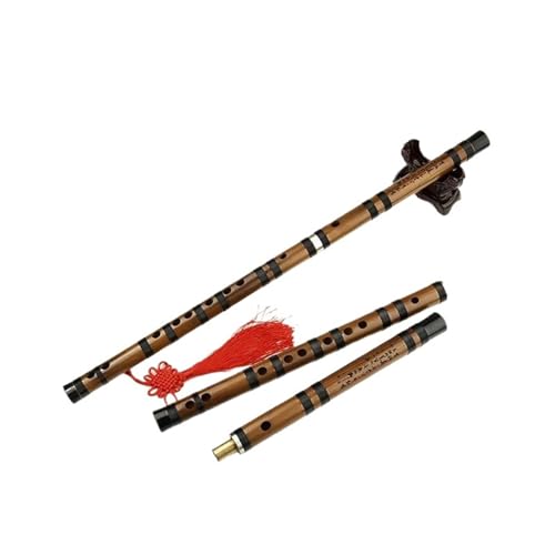 |Jy |t[g `IȖؐ S҂≹yDƂɍœK(D)