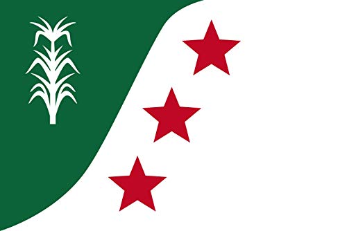 Drapeau Ascension Parish Louisiana grand format pour mât extérieur