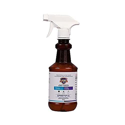 Alcohol free Sanitizer + Disinfectant Spray - 500ML + 100ml, Multi-Surface & Multi- Purpose, Non Toxic, Safe for Babies' skin, Fruits & vegatables and Pets, (Kills 99.99% Germs) Viruses