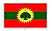 Flylife Large Flag Oromo Liberation Front OLF Flag 3x5ft banner