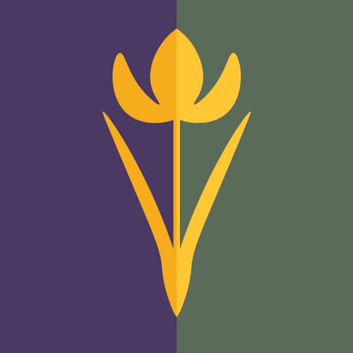 magFlags Drapeau Large Arendelle | Source https //y | 1.35m²