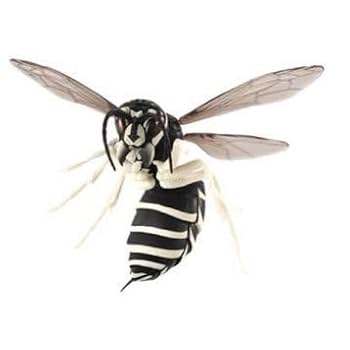 オオスズメバチ キイロスズメバチ クロスズメバチいきもの大図鑑すずめばち 61K8lvsyy3L._UF350,350_QL50_.jpg