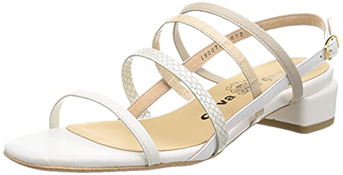 [T@T@] T_ 1800795 fB[X AC{[Rr 24.0 cm