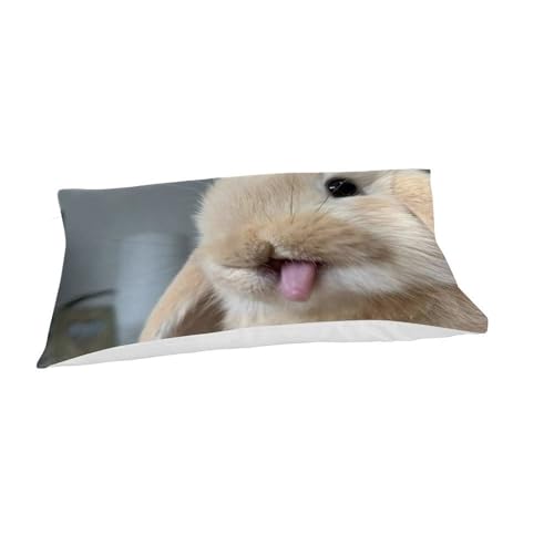 Housse de couette single lapin microfibre 135x200cm - 7