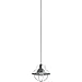 Quorum 3611-1-65 Pendant, 1-Light, 100 Watts, Satin Nickel