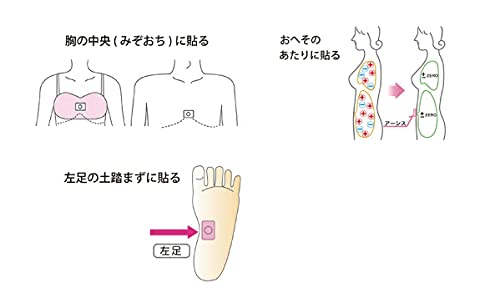アーシス　丸山修寛 電磁波対策 Amazon.co.jp: 電磁波対策「アーシス」 丸山修寛先生が開発
