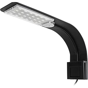 Aquarium LED Beleuchtung Licht, CJBIN Ultradünnes Clip-on Aquarium Lampe mit Weiß und Blaulicht, 10W LED Aquarienleuchte mit EU-Stecker, 24 LEDs Aquarium Licht für Aquarium und Fische Tank Beleuchtung