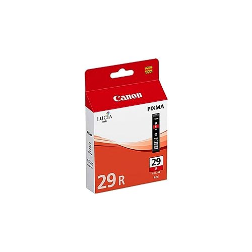 Canon PGI29 Cartouche 4878B001