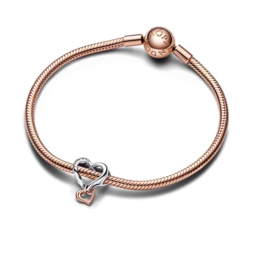 Dije de plata para pulsera Pandora Moments con detalles de oro rosa 6