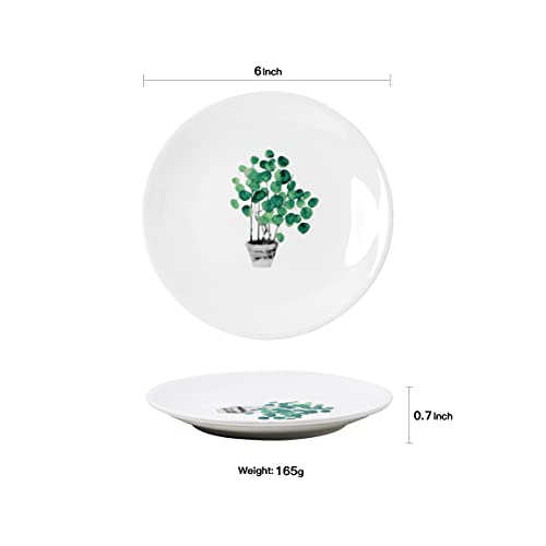 Ycbh 6 Inch Set Of 6 Assorted Designs, Small Porcelain Plates With Plants Pattern,White Ceramic Dinnerware For Appetizer Luncheon Snacks Dessert Serving Bread, Microwave Oven Dishwasher Safe #TOP2