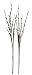 Floral Lights Lighted Willow Branch (set of 2 Branches) with 60 bulbs, 40 inches (Battery operated)