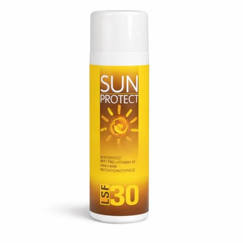 Weedness Sonnenmilch coffre-fort en boîte et cachette secrète mini format - 6