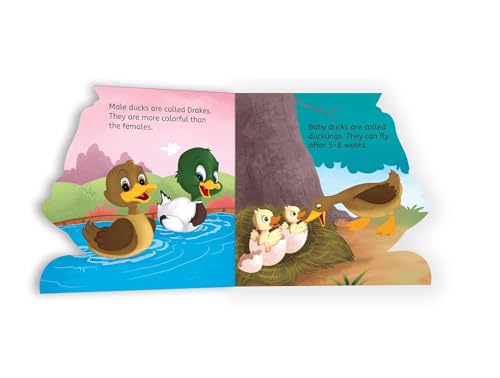 Image of My First Shaped Board book - Duck, Die-Cut Animals, Picture Book for Children