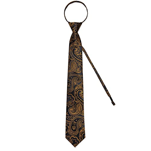 Image of DiBanGu Silk Zipper Ties for Men,Paisley Solid Plaid Pre-tied Tie and Pocket Square Cufflinks Set Formal Adjustable Necktie