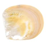 Assiette à dessert - l'assiette convient plupart des événements, que mariages, réunions de famille, banquets ou quotidienne, plateau de service d'apéritifs