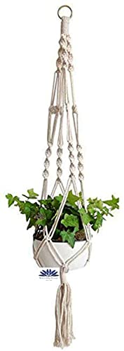See full amazon price history chart for Waterlily House - Macrame Plant Hanger Sturdy Plant Pot Holder Natural Jute Hemp Rope Plant Planter Hanging Basket Holder Tapestries Home Decoration. Waterlily House - Macrame Plant Hanger Sturdy Plant Pot Holder Natural Jute Hemp Rope Plant Planter Hanging Basket Holder Tapestries Home Decoration. (B09L61XJ9V) Amazon Price History, Amazon Price Tracker