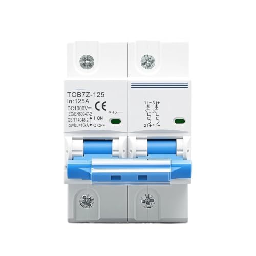 Disjoncteur 2P 1000V DC 100A courbe C, interrupteur haute performance pour batterie