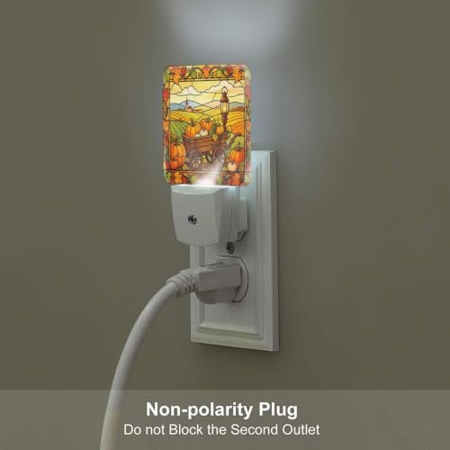 Image of Fall Pumpkin Vintage Farmhouse LED Plug-in Night Lamp Set of 2 for Bathroom