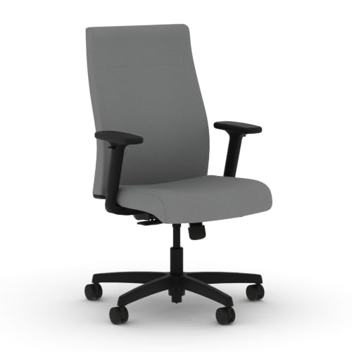 Image of HON Ignition 2.0 Ergonomic Office Chair, Lumbar Support, Desk Chair, Frost